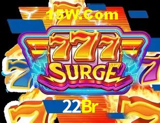 Sistemas de Segurança 22Br
