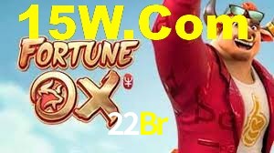 Tournaments 22Br